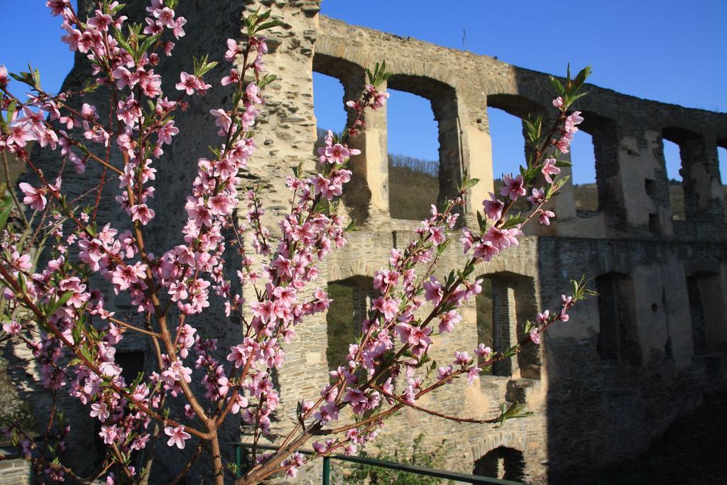 Fewo Purper Frauenberg Εξωτερικό φωτογραφία